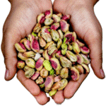 Pista / Pistachios - Image 2