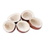 Coconut / Khopra / Copra