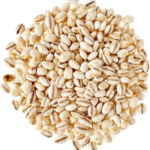 Barley