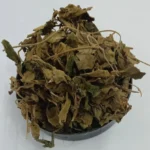 Gurmar Booti / gudmar patta