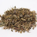 Gule Banafsha Banafsa phool