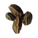 Khajoor Talq (Kadwa)