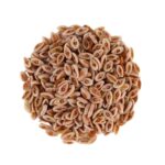 Isabgol Beej / Isabgol sabit / Seed