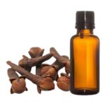 Lawang Oil / Clove oil