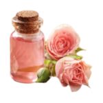 Rosa Oil