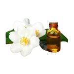 Chameli Oil / Jasmine oil