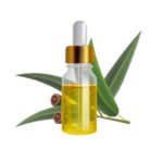 Nilgiri Oil /  Eucalyptus Oil