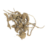 Bharangi / barangi gantu