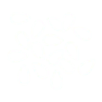 Seeds