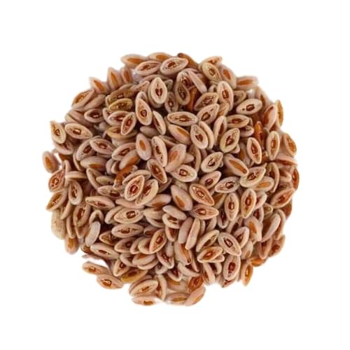 Isabgol Beej / Isabgol sabit / Seed - Image 1