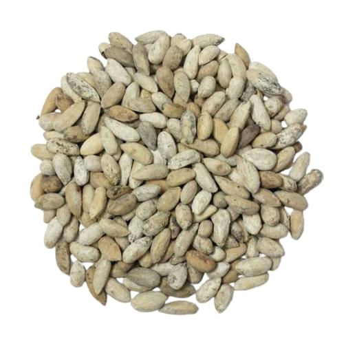 Neem seeds / Neem beej - Image 1