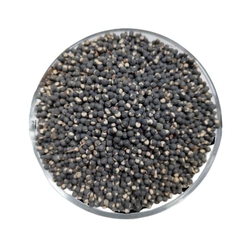 Tukhme Kilkil / Kilkil seeds / beej - Image 1