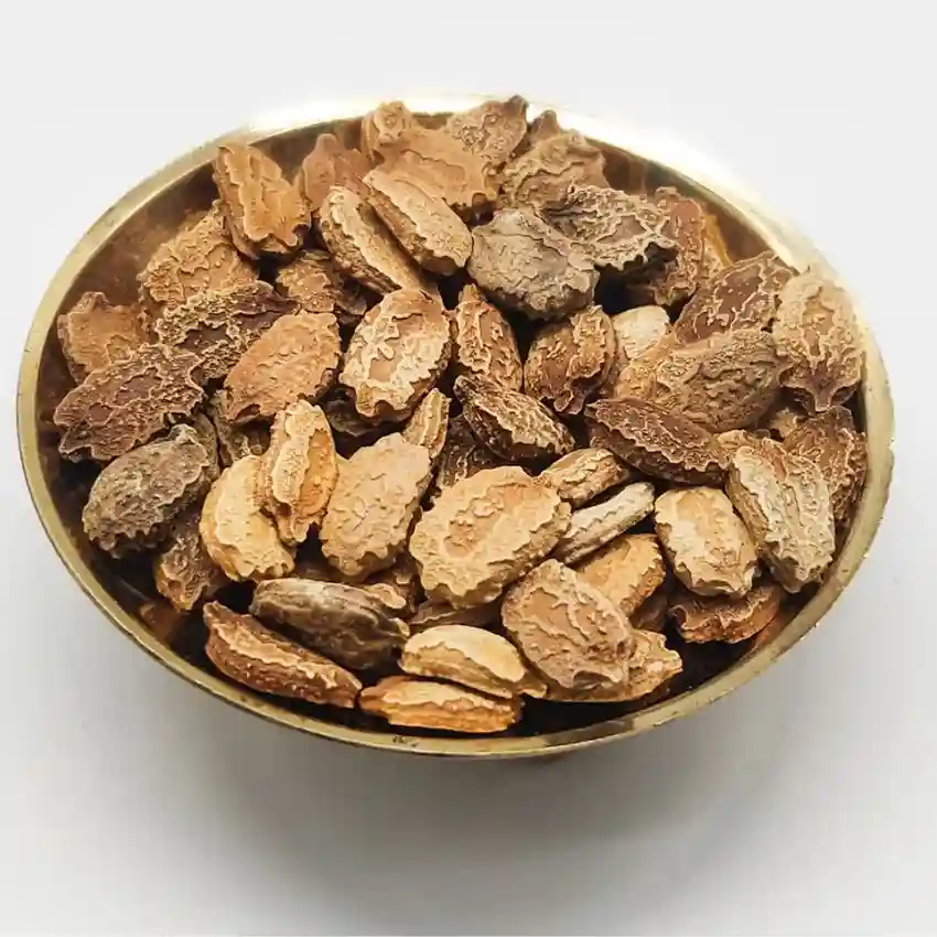 Karela beej / Karela seeds - Image 1