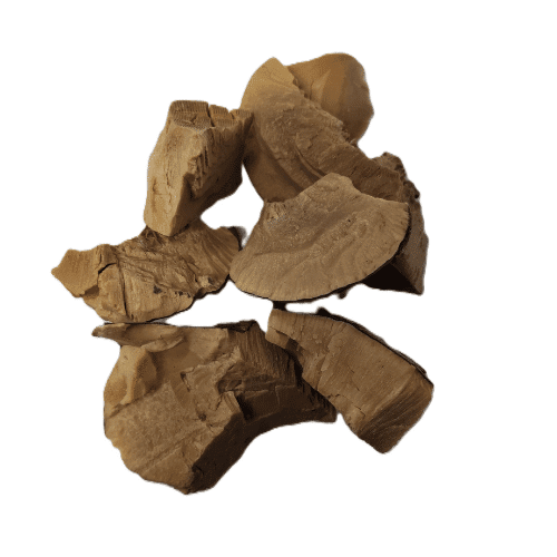Daryai Narjeel / Sea Coconut - Image 1